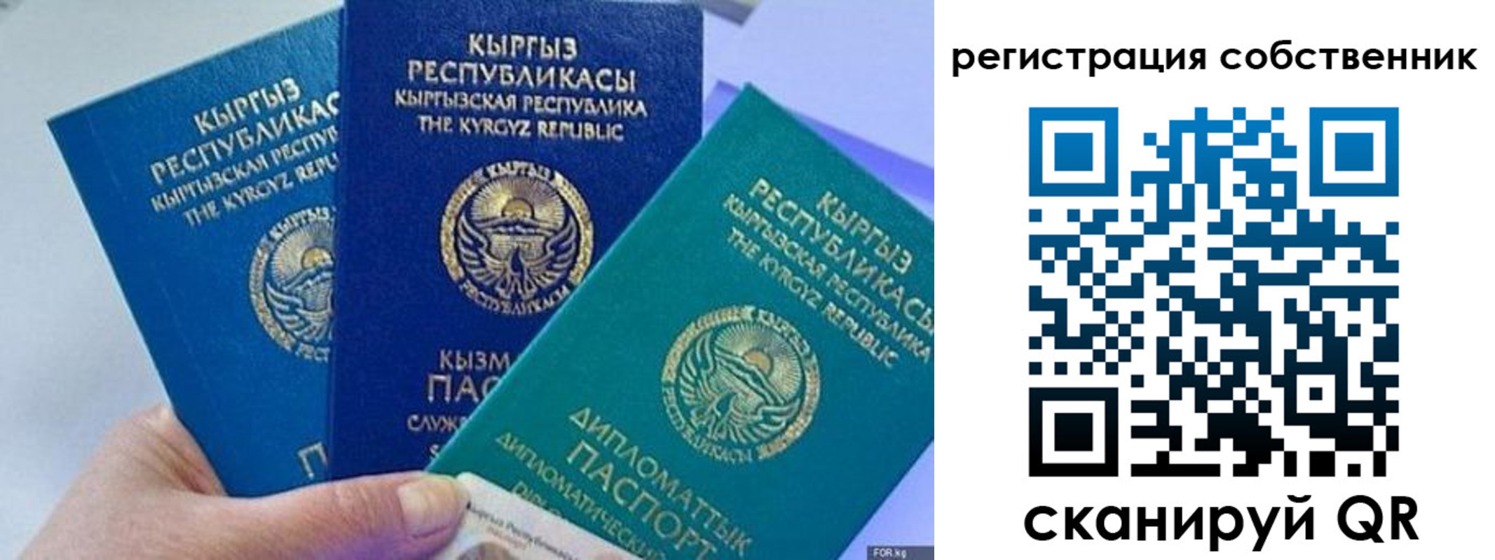 регистрация в Александрове